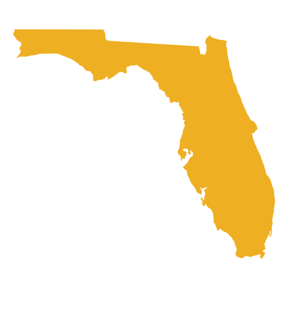 state of florida graphic